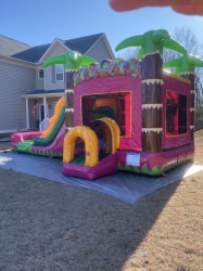 Photo20Feb20132020262032042201920PM 1774204216 Tropical Magenta Dual Lane